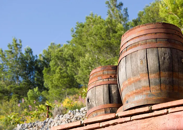 Bed & Breakfast El Tossal - Adults Only Bolulla